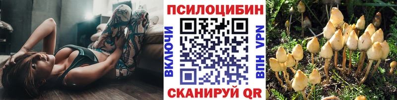 mega ссылки  это наркотические препараты  Псилоцибиновые грибы MAGIC MUSHROOMS  Саров 