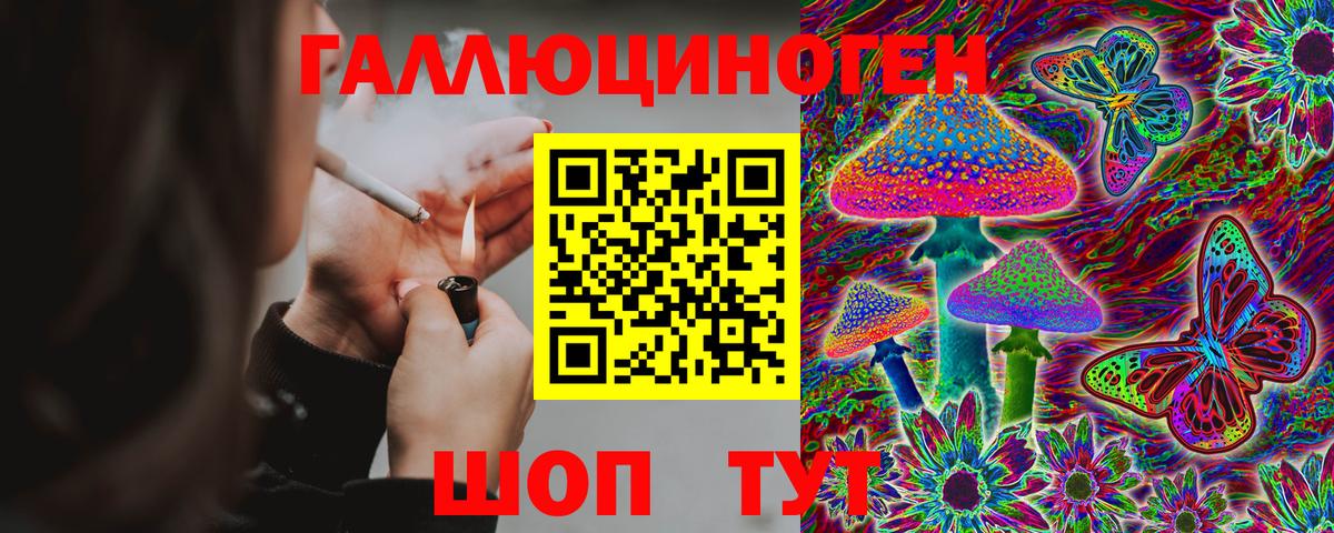 Саров  Галлюциногенные грибы Cubensis  Вход с VPN 